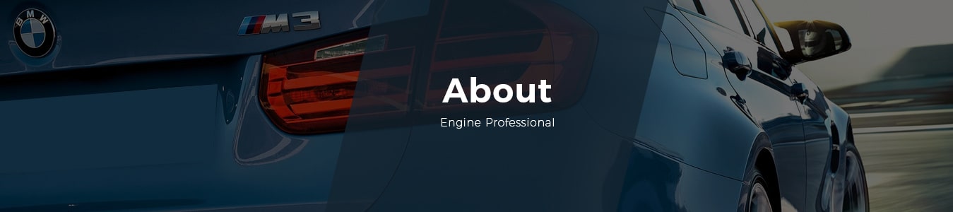 about engine professional