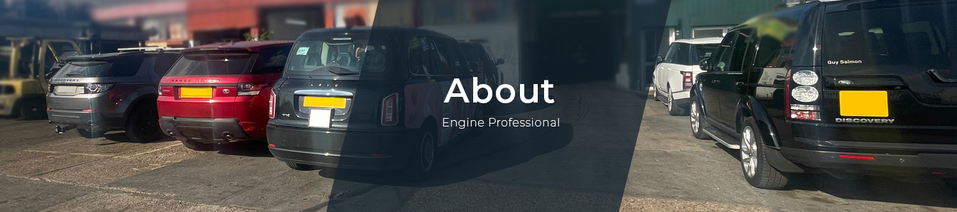 about engine professional