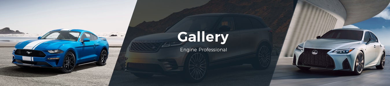 engine professional gallery