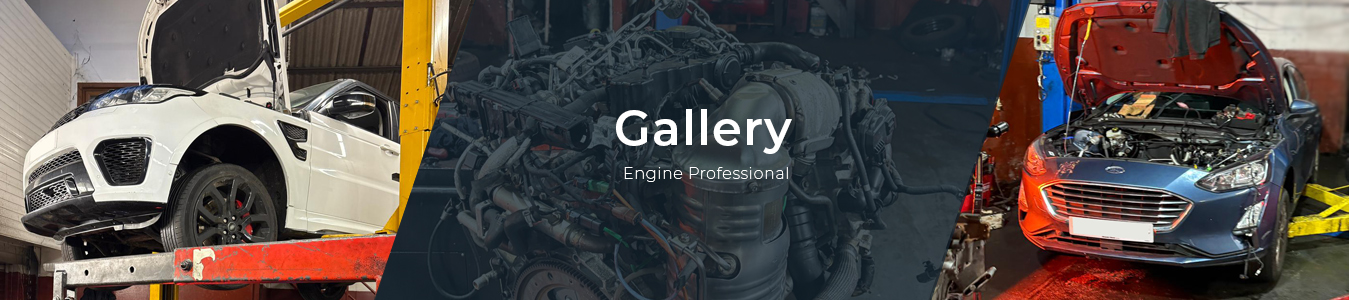 engine professional gallery